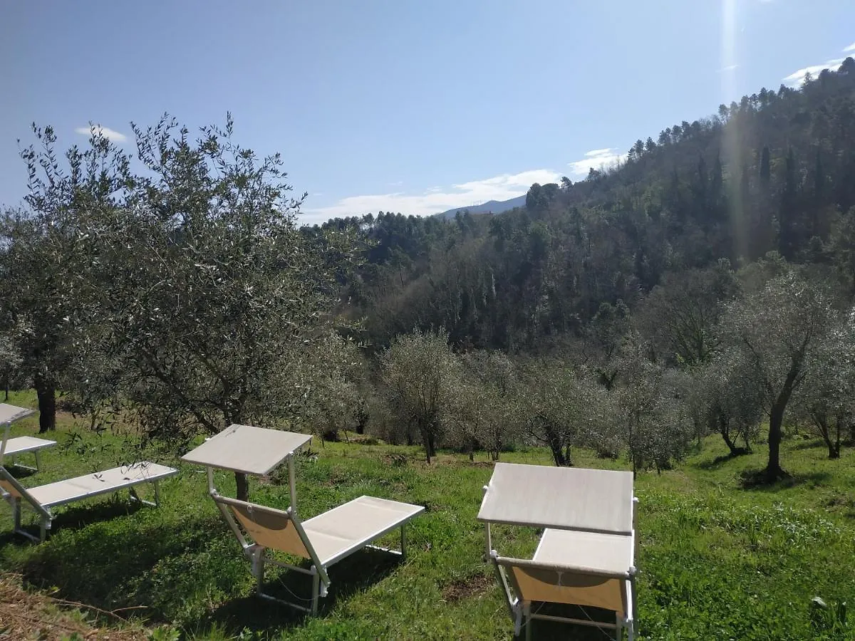 Appartamento Il Silenzio Lucca